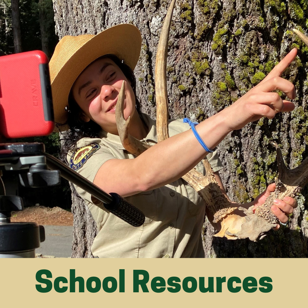 School Resources